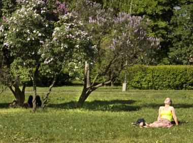 Moskova, Lila Bahçe