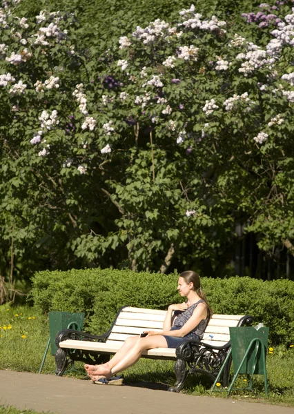 Moscovo, jardim Lilac — Fotografia de Stock