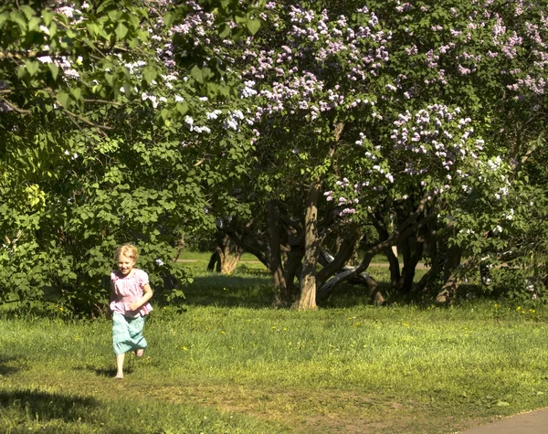 Moskou, Lila tuin — Stockfoto