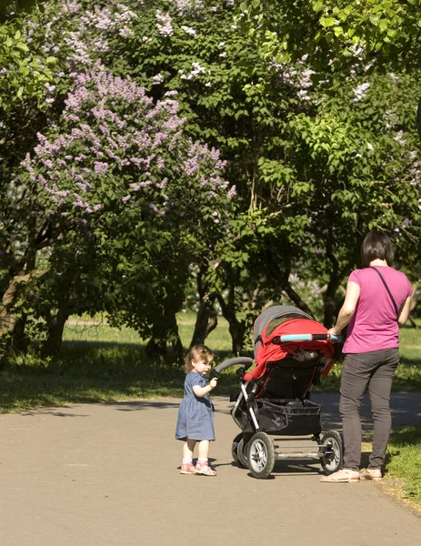 Moscow, Lilac garden — Stock Photo, Image