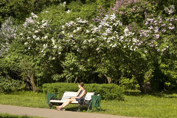 Moscú, jardín lila — Foto de Stock