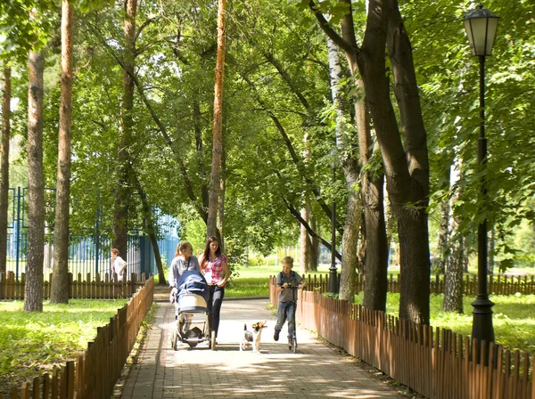Moscow, Cherkizovsky park — Stock Photo, Image