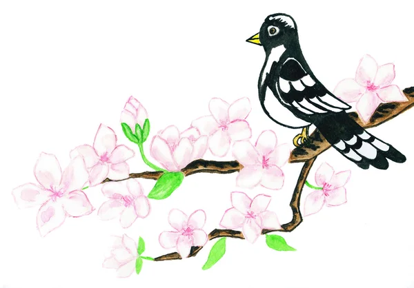 Bird on branch with white flowers, painting — Stock Photo, Image