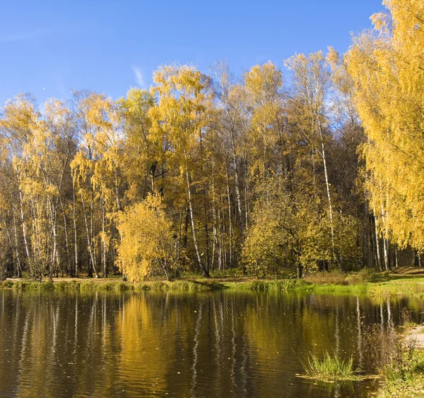 Höstlandskap — Stockfoto