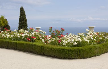 Deniz kıyısında gül bahçesi