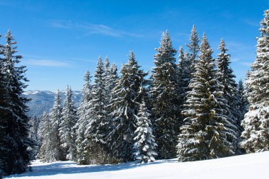 Bulgaristan 'ın Pamporovo kentindeki Rhodopes dağlarında kayak merkezi Pamporovo.