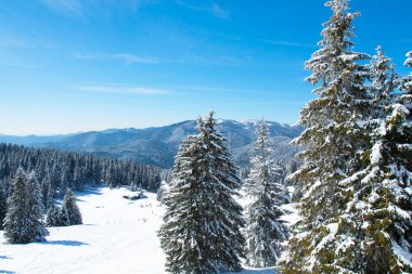 Bulgaristan 'ın Pamporovo kentindeki Rhodopes dağlarında kayak merkezi Pamporovo.