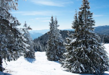 Bulgaristan 'ın Pamporovo kentindeki Rhodopes dağlarında kayak merkezi Pamporovo.