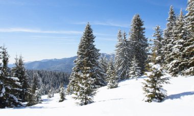Bulgaristan 'ın Pamporovo kentindeki Rhodopes dağlarında kayak merkezi Pamporovo.