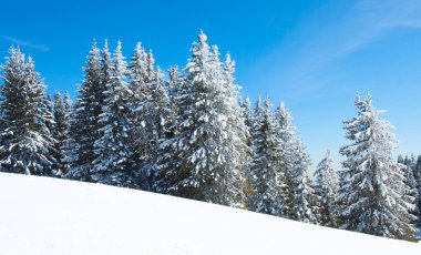 Bulgaristan 'ın Pamporovo kentindeki Rhodopes dağlarında kayak merkezi Pamporovo.