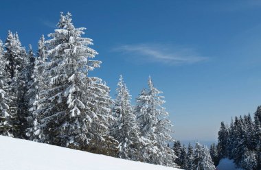 Rodos dağlarındaki Pamporovo kayak beldesi, Pamporovo, Bulgaristan.
