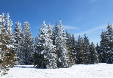 Rodos dağlarındaki Pamporovo kayak beldesi, Pamporovo, Bulgaristan.