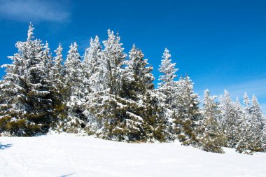Rodos dağlarındaki Pamporovo kayak beldesi, Pamporovo, Bulgaristan.