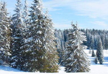 Rodos dağlarındaki Pamporovo kayak beldesi, Pamporovo, Bulgaristan.