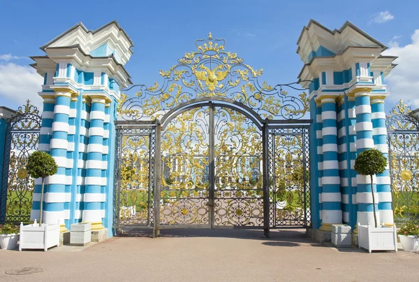 Tsarskoye selo sarayda kapıları