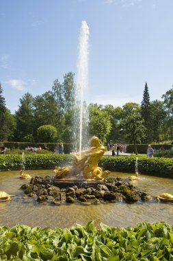 Peterhof, Rusya Federasyonu
