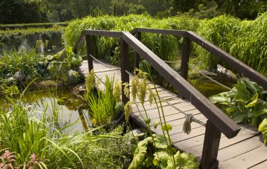 Moskova, Sokolniki park