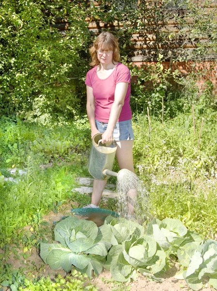 Mujer regando repollo —  Fotos de Stock