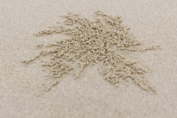 Buraco de caranguejo pequeno e praia de areia — Fotografia de Stock
