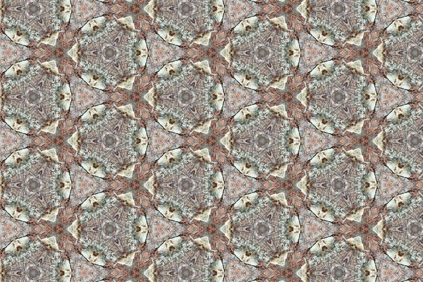 Kaleidoskopische alte Baumrinde — Stockfoto