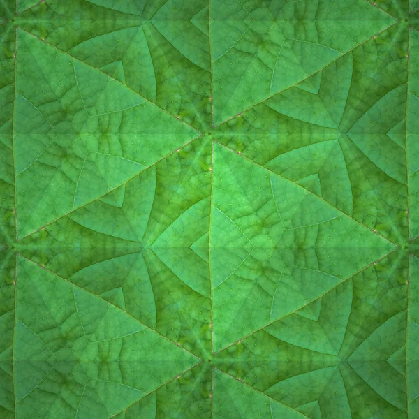 Caleidoscópio Folha Verde — Fotografia de Stock
