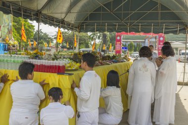 Tay insanlar ibadet Tanrı vejetaryen Festivali sırasında