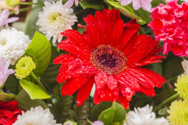 Çiçek arka plan dekorasyon