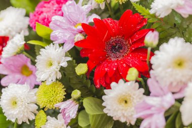 Çiçek arka plan dekorasyon