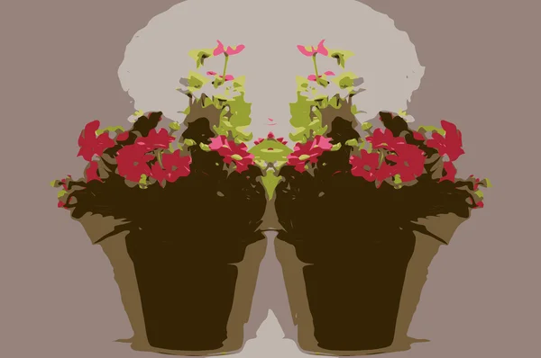 Blomst i vase – stockfoto