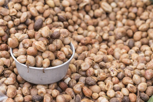 Bambarra Fondo de cacahuete — Foto de Stock