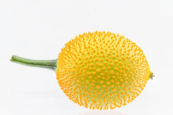 Spiny Bitter Gourd — Stock Photo, Image