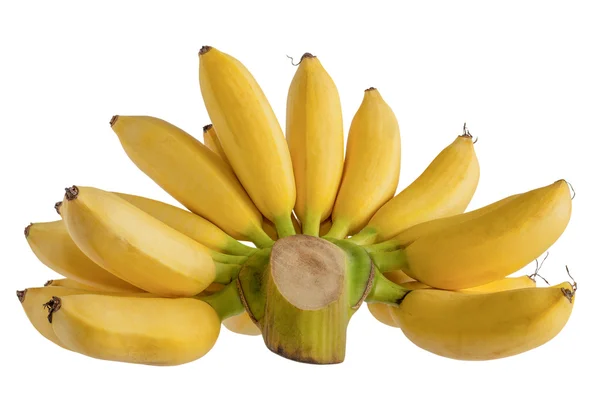 Banana de Pisang Mas — Fotografia de Stock