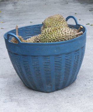 Durian meyve