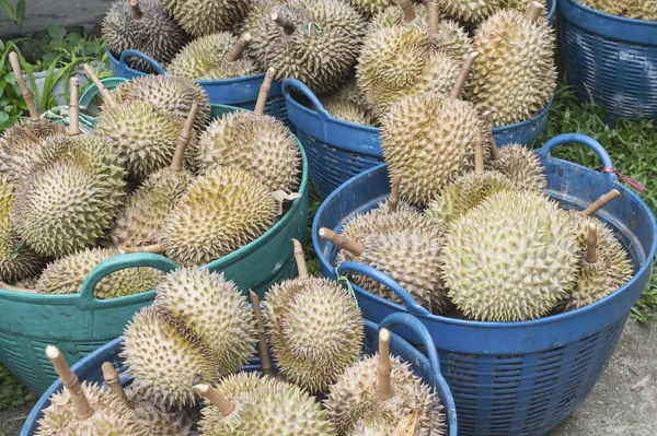 Durian Fruits — Stock Photo, Image