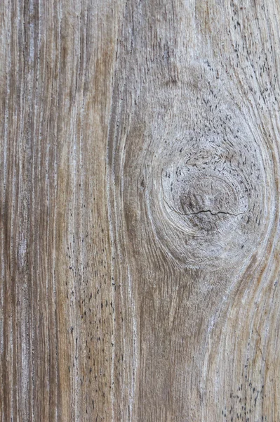 Textura de madeira — Fotografia de Stock