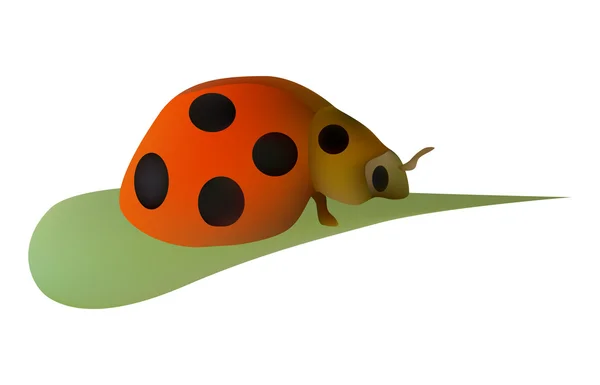 Coccinelle sur feuille — Image vectorielle