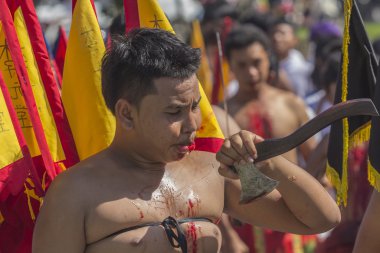 Vejetaryen Festivali