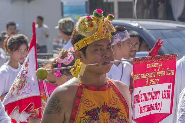 Festival vegetariano — Foto Stock