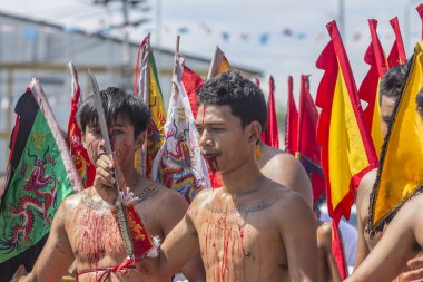 Vejetaryen Festivali
