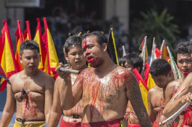 Vejetaryen Festivali