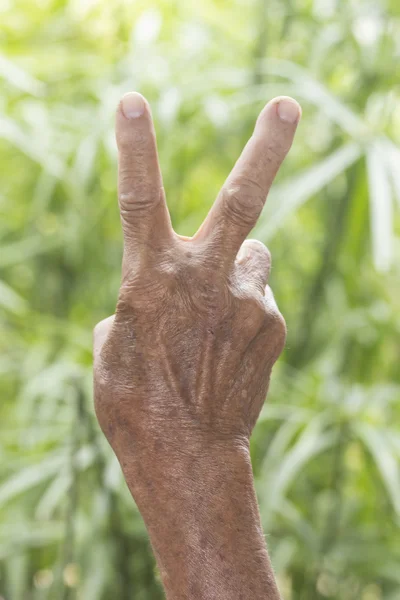 La mano muestra el número dos —  Fotos de Stock