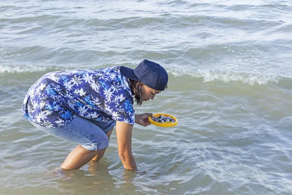 Vrouw op zoek naar schelpen in het ondiepe water bij eb — Stockfoto