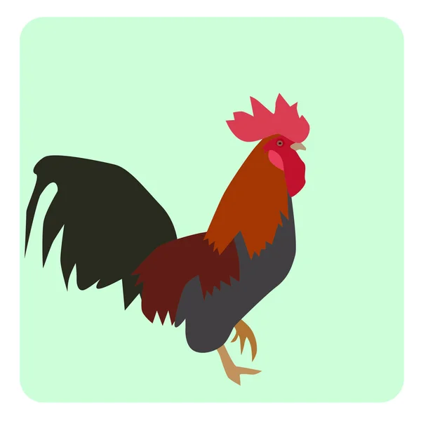 Bantam 1 — Image vectorielle