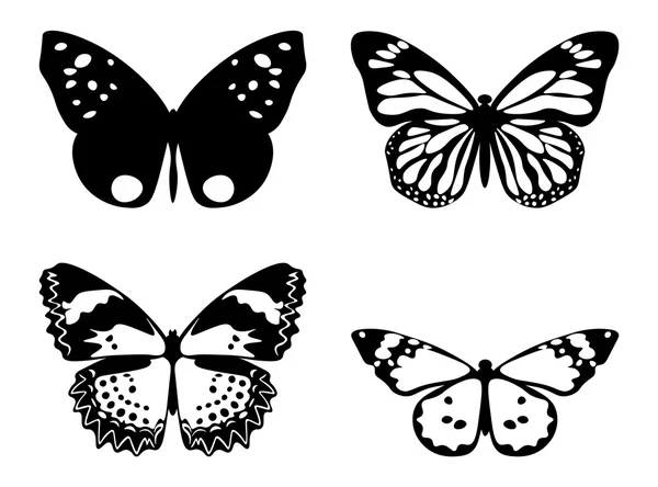 Papillon noir et blanc — Image vectorielle