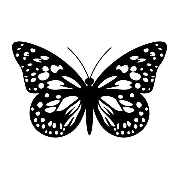 Fjäril i svart och vitt — Stock vektor
