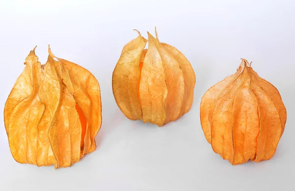 Cape Gooseberry — Stock Photo, Image