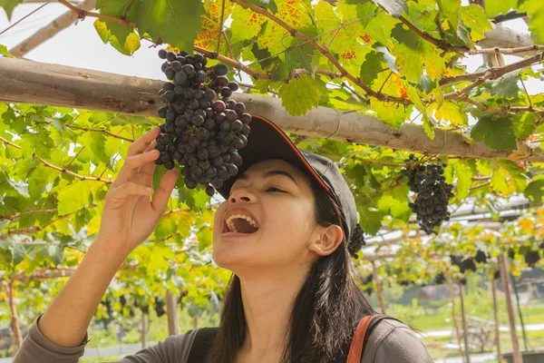 Jovem mulher comendo uvas ao ar livre — Fotografia de Stock