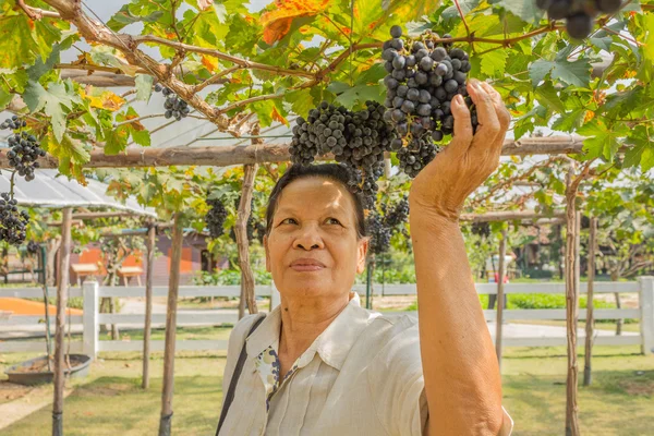 Seniorin mit Trauben im Freien — Stockfoto