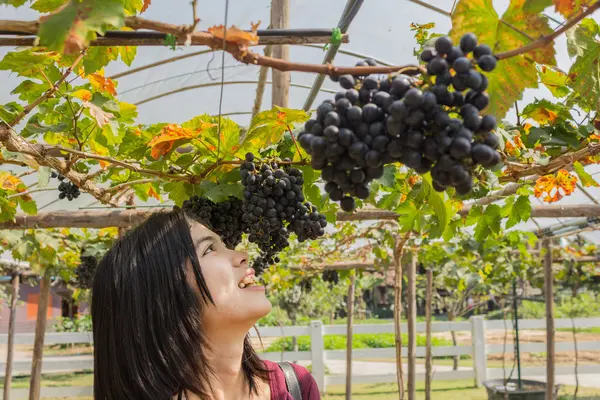 Jovem com uvas ao ar livre — Fotografia de Stock