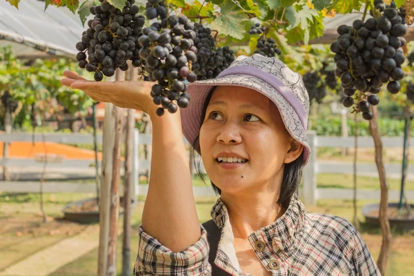 Mulher com uvas ao ar livre — Fotografia de Stock